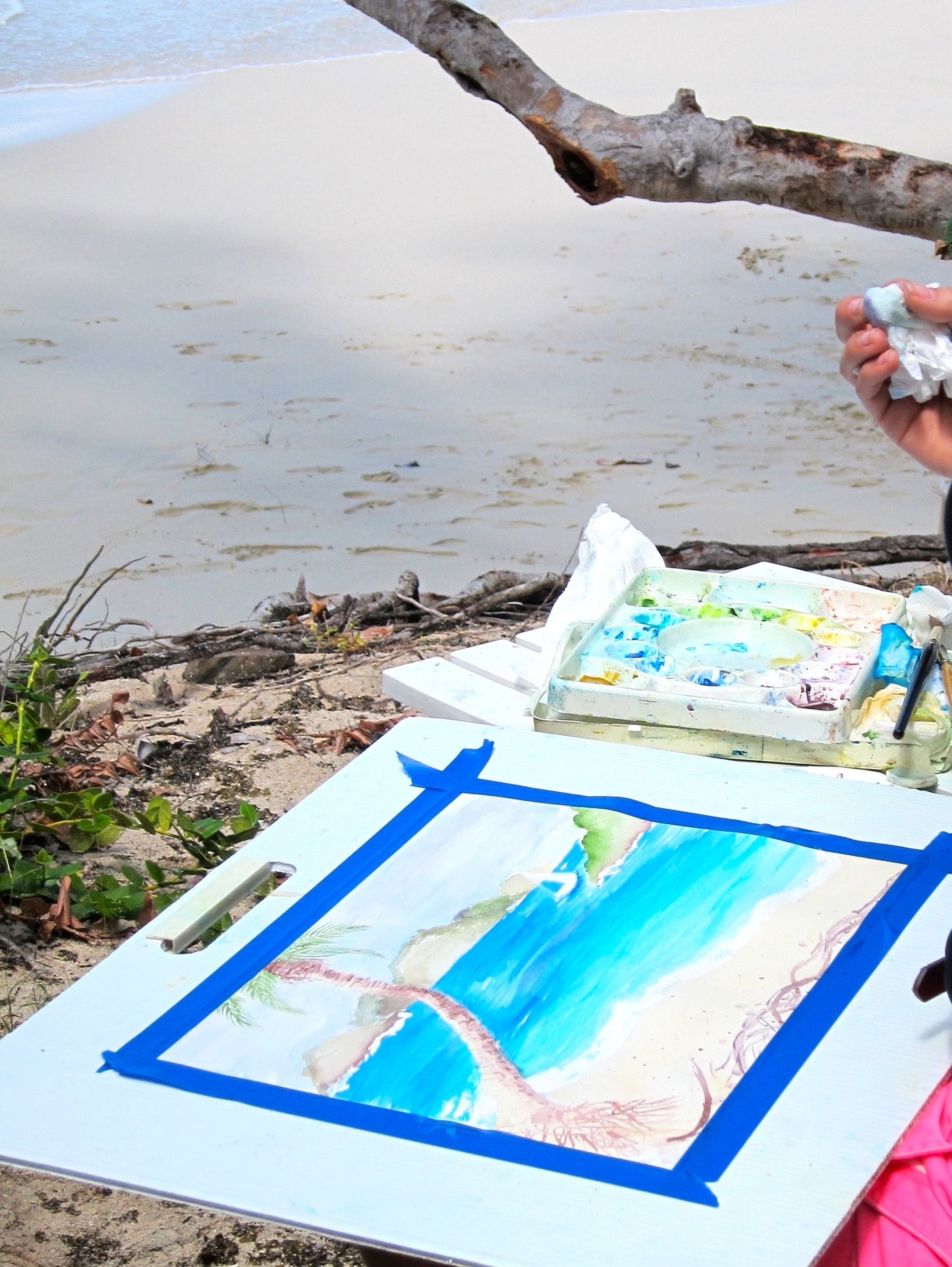 Caneel Bay St. John USVI Watercolor Art Print by Angelika Gale